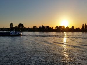 © Wolfgang Voß k-20150604_211011