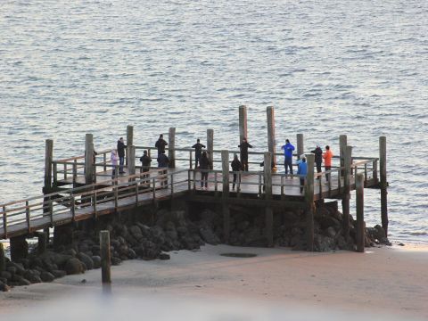 15.10.27_Seebrücke_6281