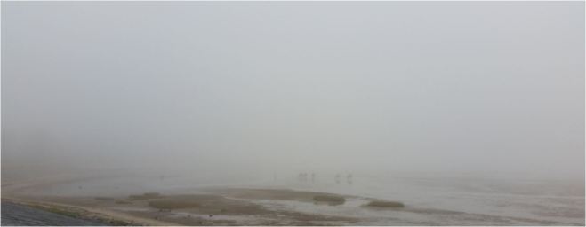 © Wolfgang Voß 15.11.03_20151106_Nebel_151656