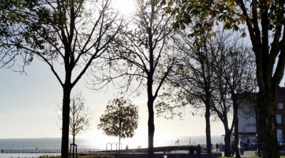 15-11-18_baum_20151108_111706-1024x576