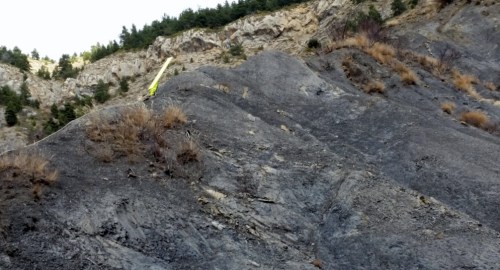 © Brigitte Voß 20151229_125116-2-1024x576