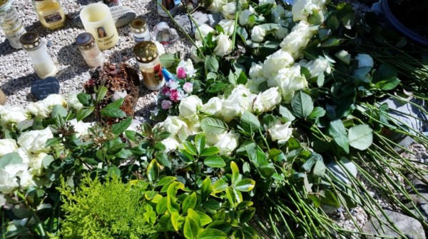 20160324_113446-1024x576